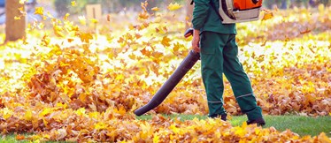En parkarbetare tar bort höstlöv med lövblås.