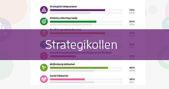 Startbild Strategikollen