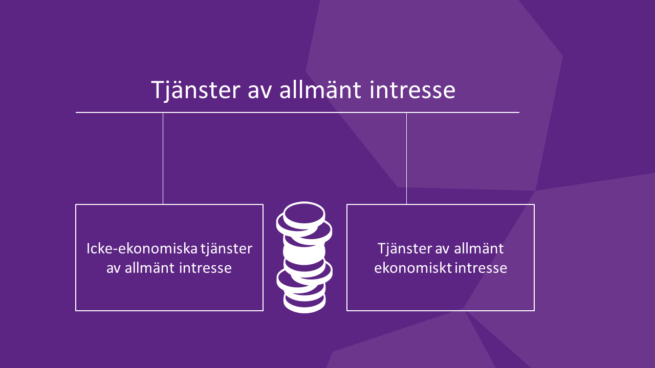 Tj&auml;nster av allm&auml;nt intresse delas in i icke-ekonomiska tj&auml;nster av allm&auml;nt intresse och tj&auml;nster av allm&auml;nt ekonomiskt intresse.